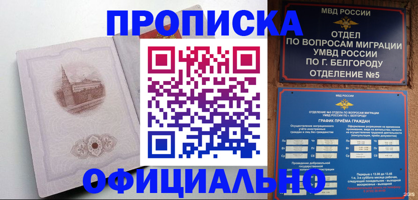 временная регистрация 2025 в Алейске